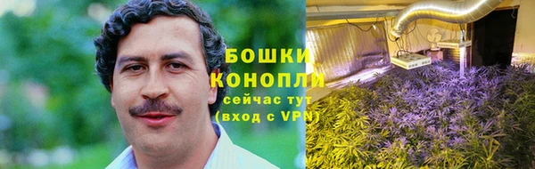 ПСИЛОЦИБИНОВЫЕ ГРИБЫ Абдулино